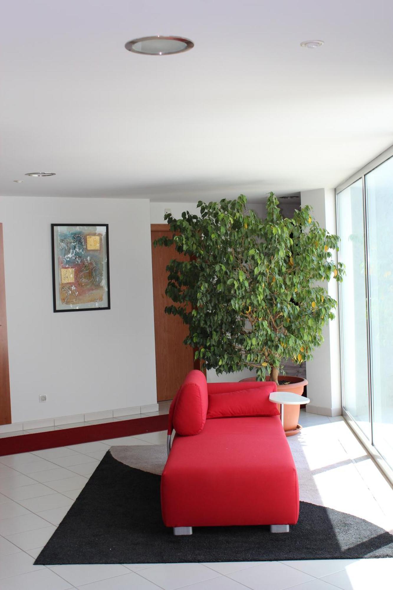 Hotel Sao Sebastiao De Boliqueime Exteriér fotografie